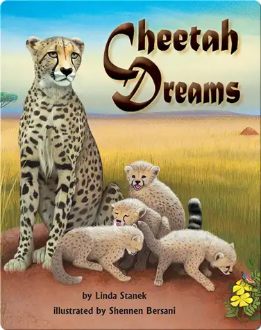 Cheetah Dreams book