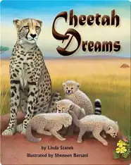 Cheetah Dreams