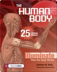 The Human Body