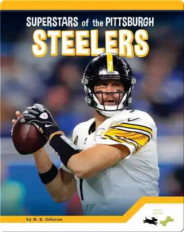 Pittsburgh Steelers book