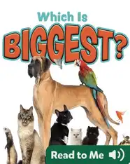 Which is Biggest?