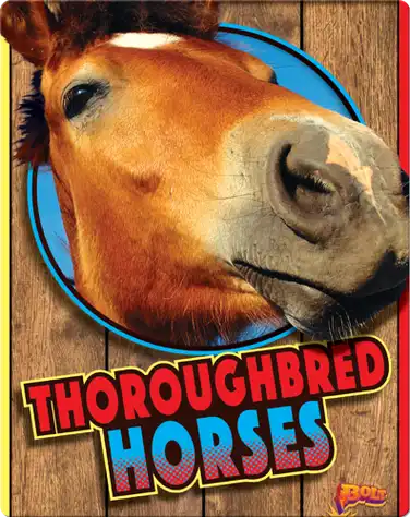 Thoroughbred Horses book