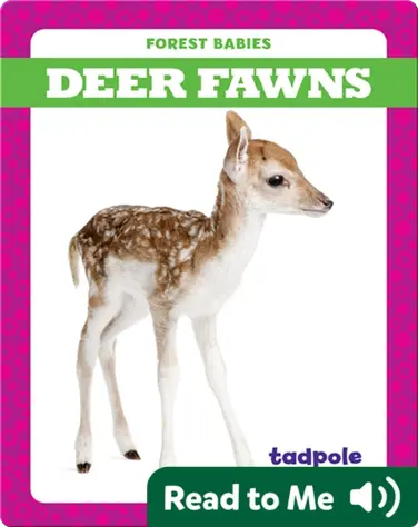 Deer Fawns book