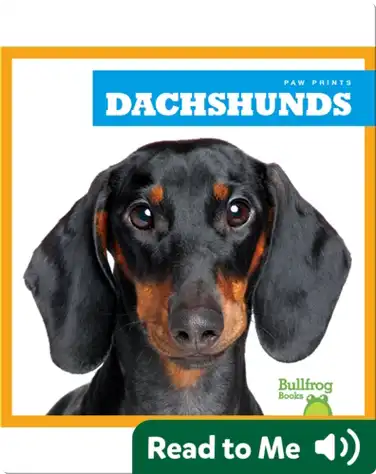 Dachshunds book