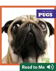 Pugs
