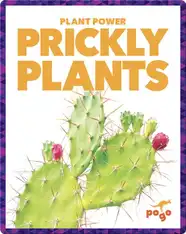 Prickly Plants