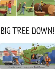 Big Tree Down!