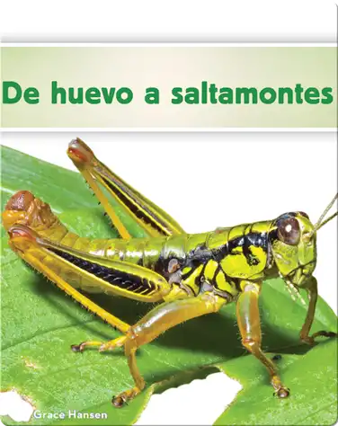 De huevo a saltamontes book