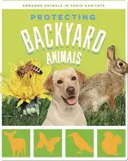 Protecting Backyard Animals