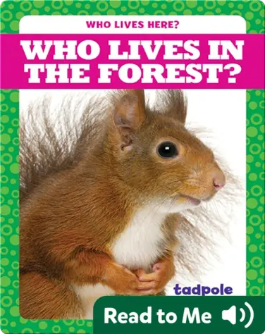 Who Lives in the Forest? book