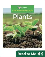 Plants
