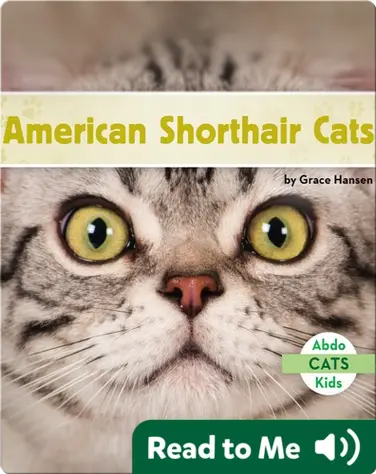 American Shorthair Cats book