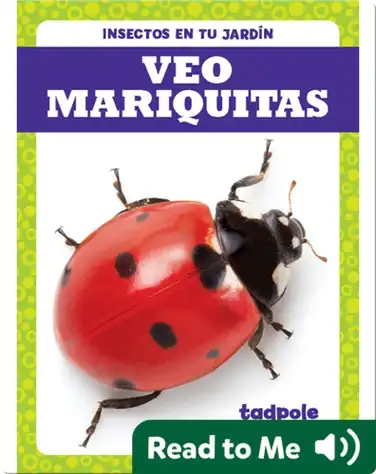 Veo mariquitas (I See Ladybugs) book