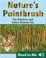 Nature's Paintbrush: The Patterns and Colors Around You