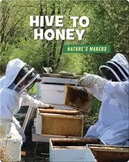 Hive to Honey