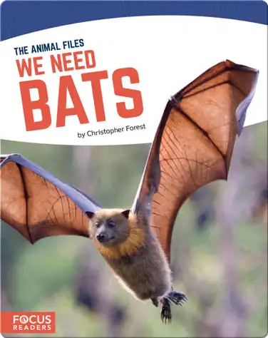 We Need Bats book