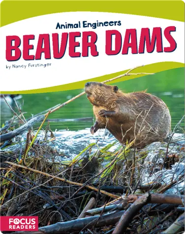 Animal Engineers: Beaver Dams book