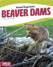 Animal Engineers: Beaver Dams