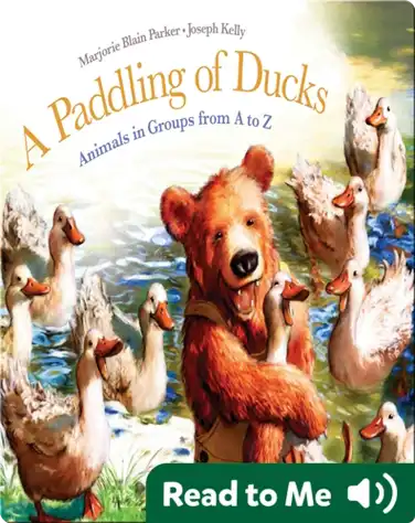 A Paddling of Ducks book