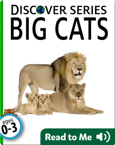 Big Cats book