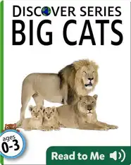 Big Cats