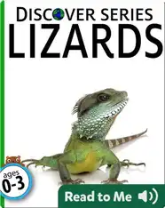 Lizards