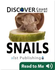 Discover Snails