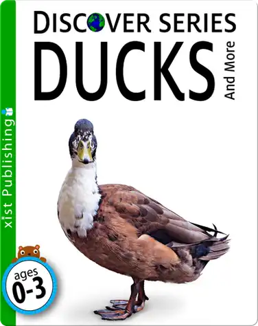 Ducks book