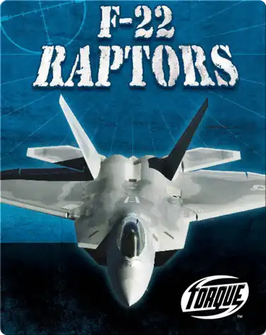 F-22 Raptors book