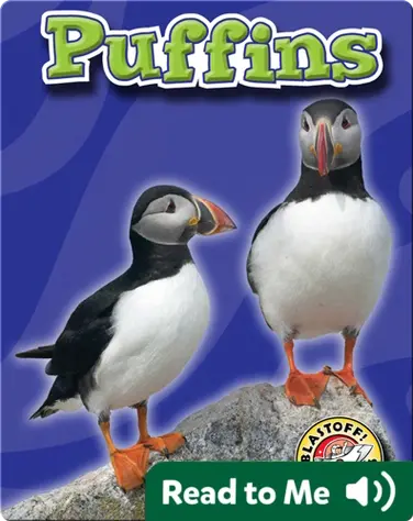 Puffins: Oceans Alive book