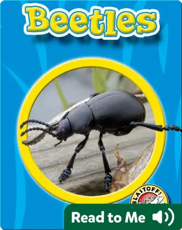 World of Insects: Beetles book