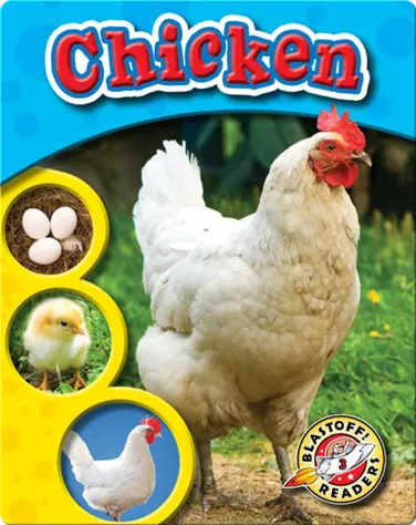 The Life Cycle of a Chicken book