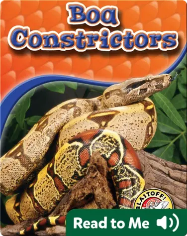 Boa Constrictors: Snakes Alive book