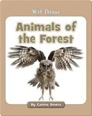 Animals of the Forest