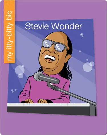 Stevie Wonder book