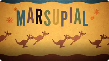 Marsupial book