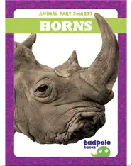 Animal Part Smarts: Horns