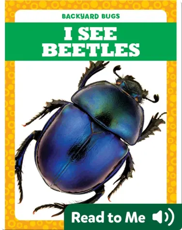 I See Beetles book