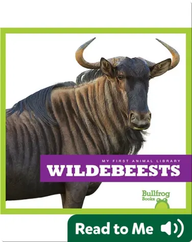 My First Animal Library: Wildebeests book