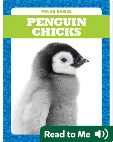 Polar Babies: Penguin Chicks book