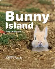 Bunny Island
