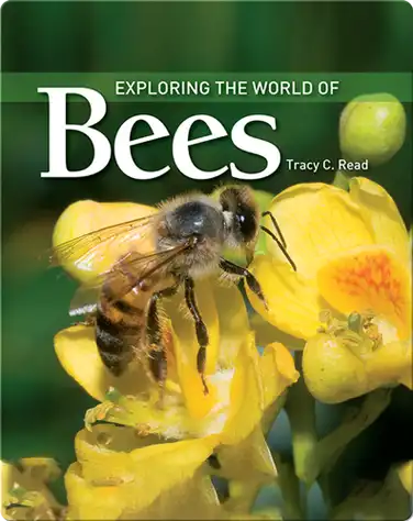 Exploring the World of Bees book