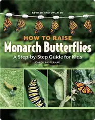 How to Raise Monarch Butterflies: A Step-by-Step Guide for Kids