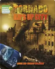 Tornado Rips Up City