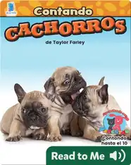 Contando cachorros
