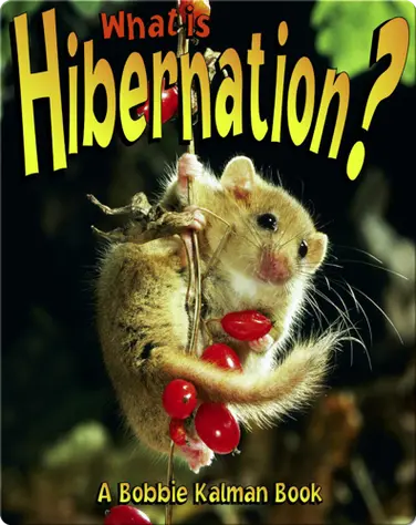 What is Hibernation? book