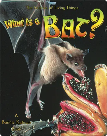 What is a Bat? book