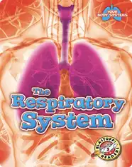 The Respiratory System