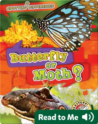 Butterfly or Moth? book