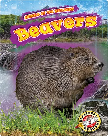 Animals of the Wetlands: Beavers book